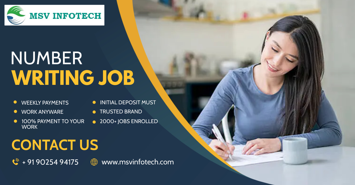 MSV Infotech
